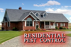 Residential Pest Control